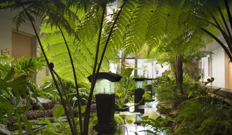 Hotel Le Lagon Нумеа Экстерьер фото